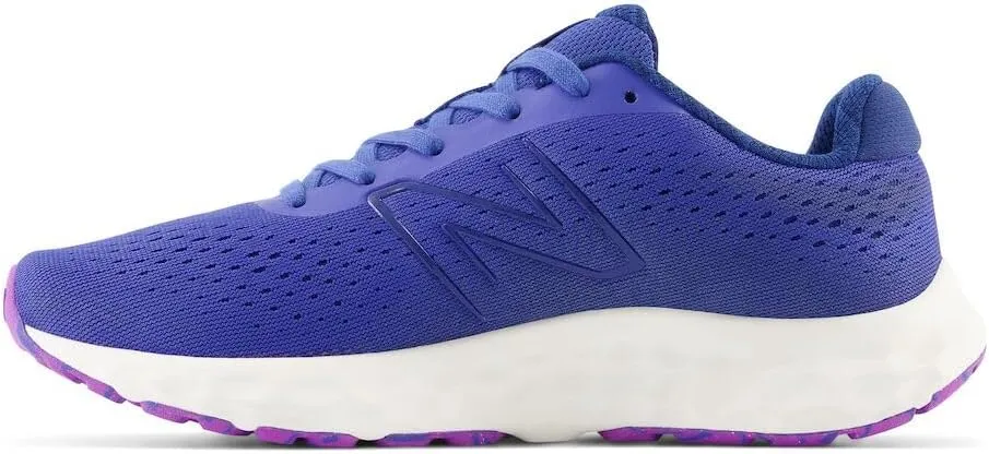 New Balance Women's 520 V8 Running Shoe