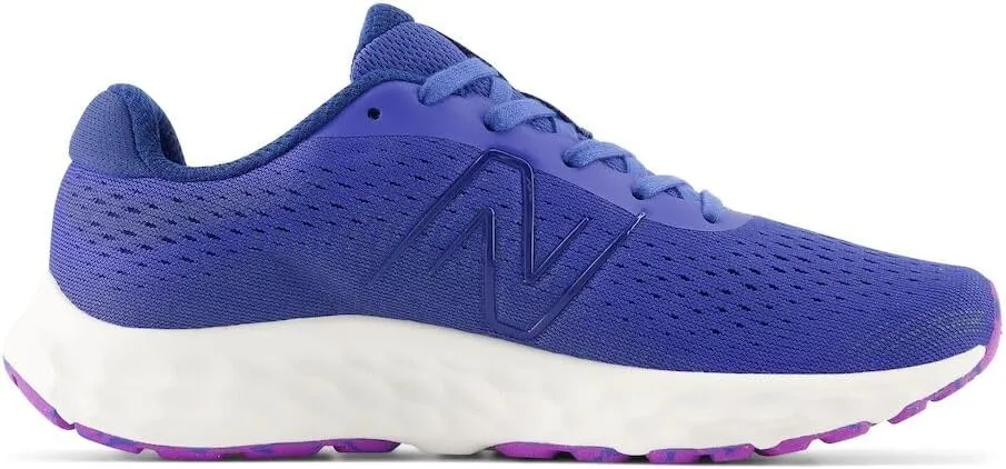 New Balance Women's 520 V8 Running Shoe