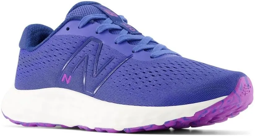 New Balance Women's 520 V8 Running Shoe