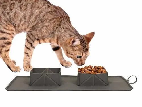 On-the-Go Paws: Portable Foldable Pet Bowl with a Carry bag