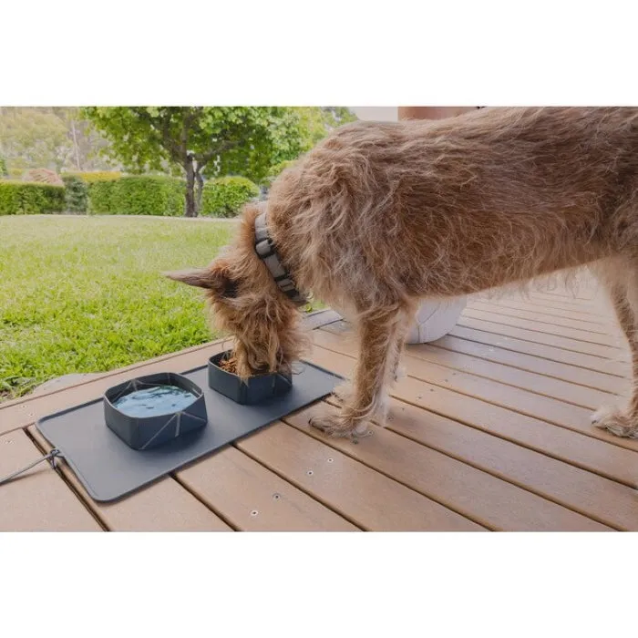 On-the-Go Paws: Portable Foldable Pet Bowl with a Carry bag