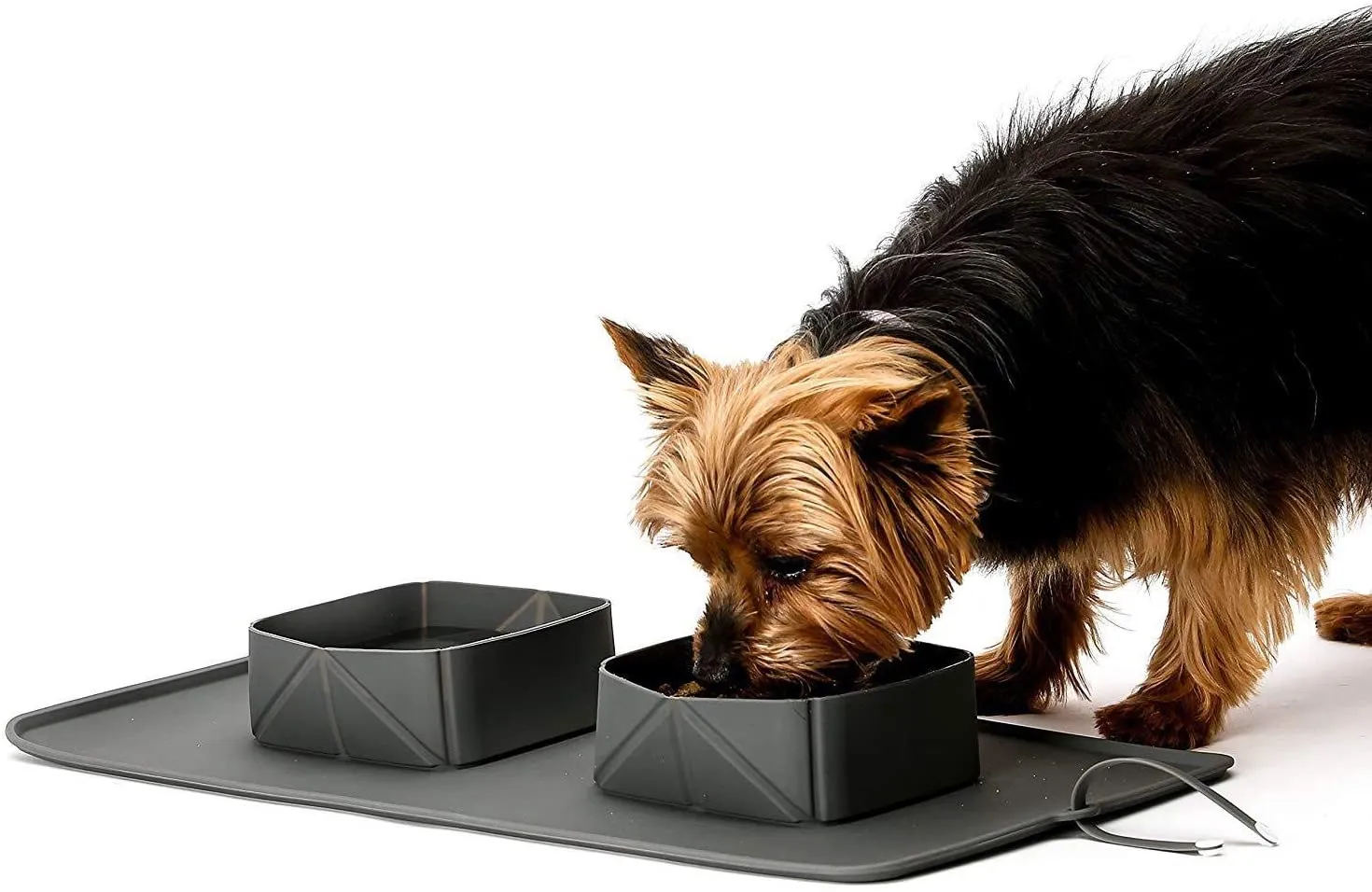 On-the-Go Paws: Portable Foldable Pet Bowl with a Carry bag