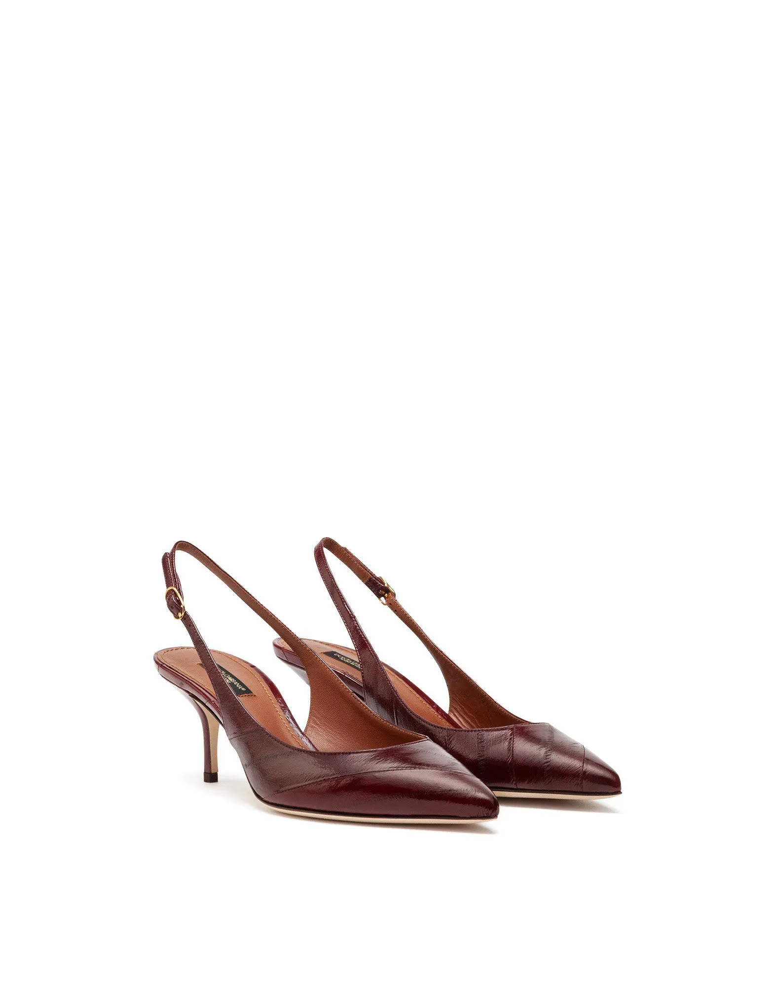 Slingbacks in eel