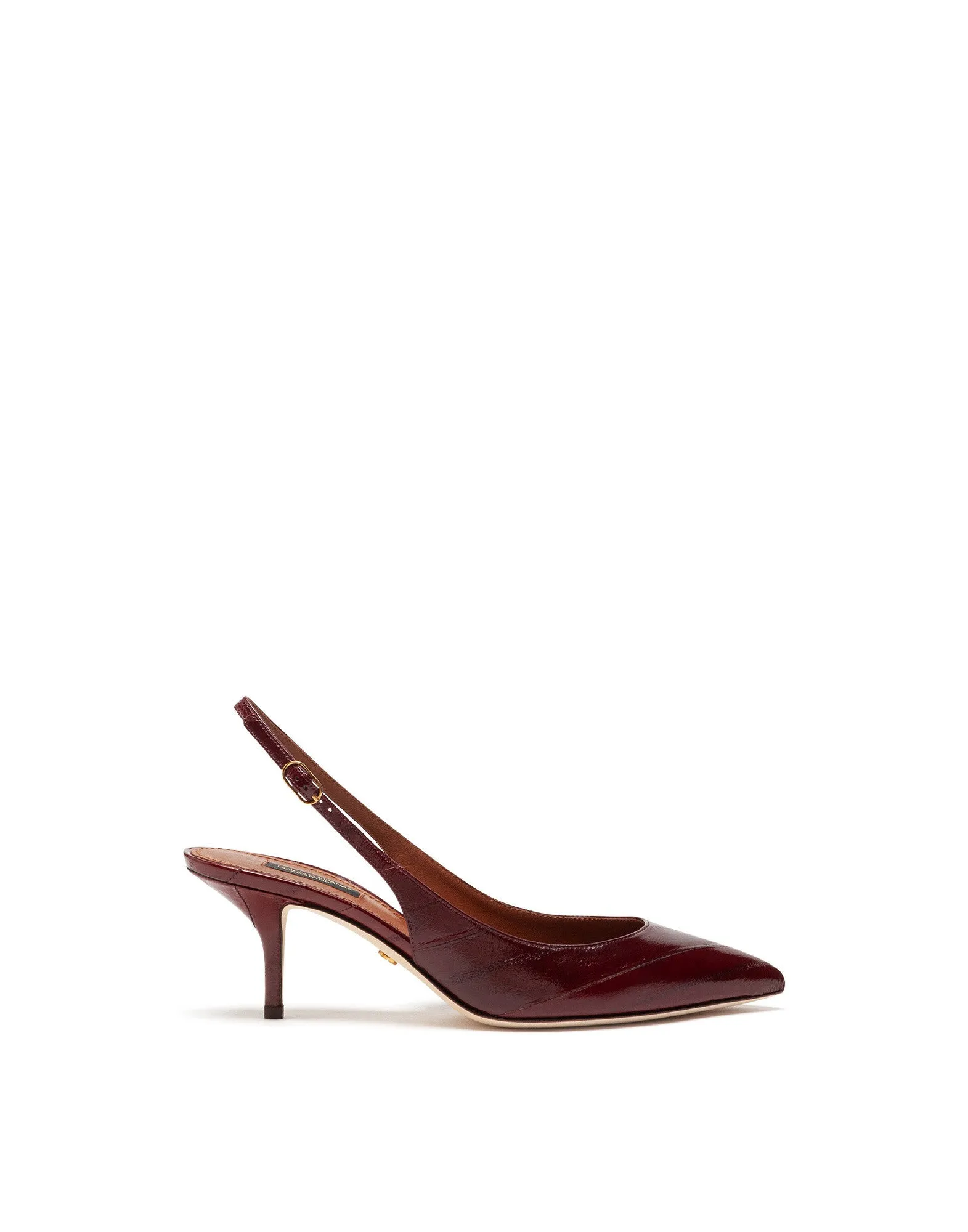 Slingbacks in eel