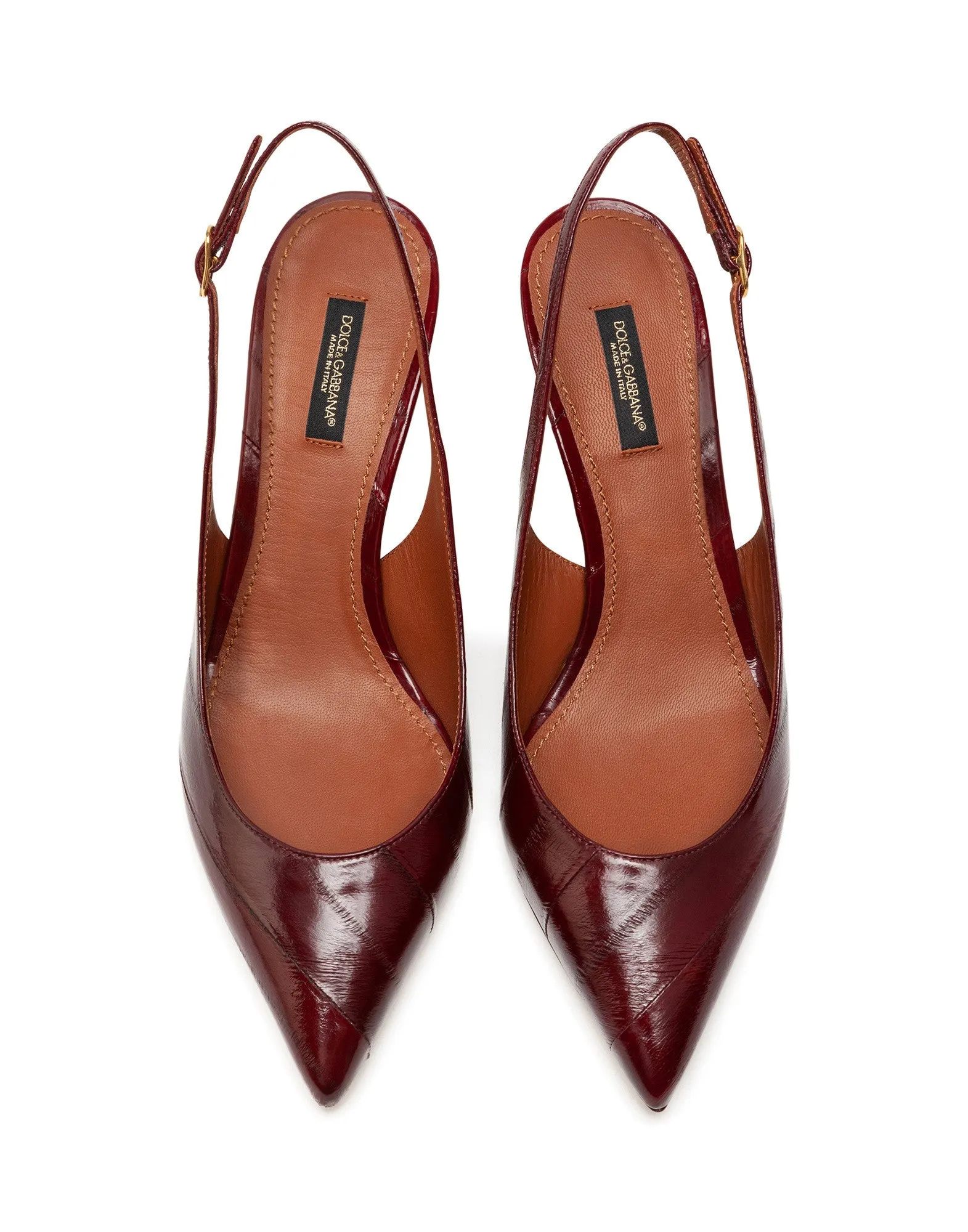 Slingbacks in eel
