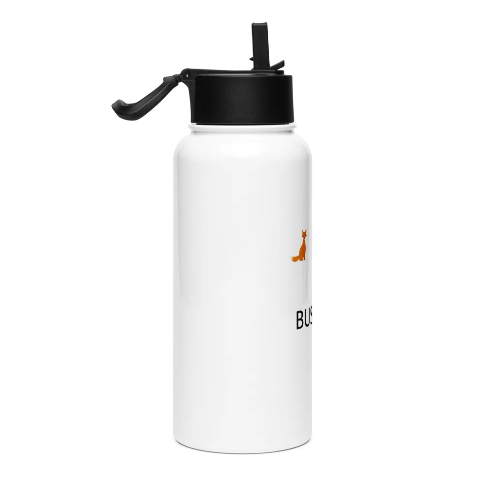 Stylish Stainless Steel Water Bottle with Straw